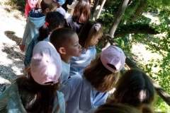 IMG-cd30b578a08387d49717b14638d44d41-V