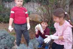 IMG-8045147f2f3e25de9e0cb70212ddbddd-V