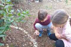 IMG-abc806ee7d6e3eeb12613c713df64e7b-V
