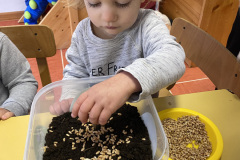 IMG-4069