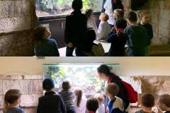 21