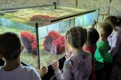 IMG-41afe2c3ff1f65dd8acf50571565a092-V