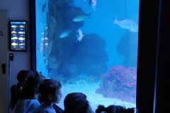 IMG_20260323_111304