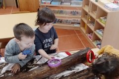 IMG-2295ef3b86b9215dda05e3b7bb31c33e-V